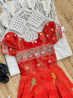 Elegant  Dola Silk Fabric Gown for Girls